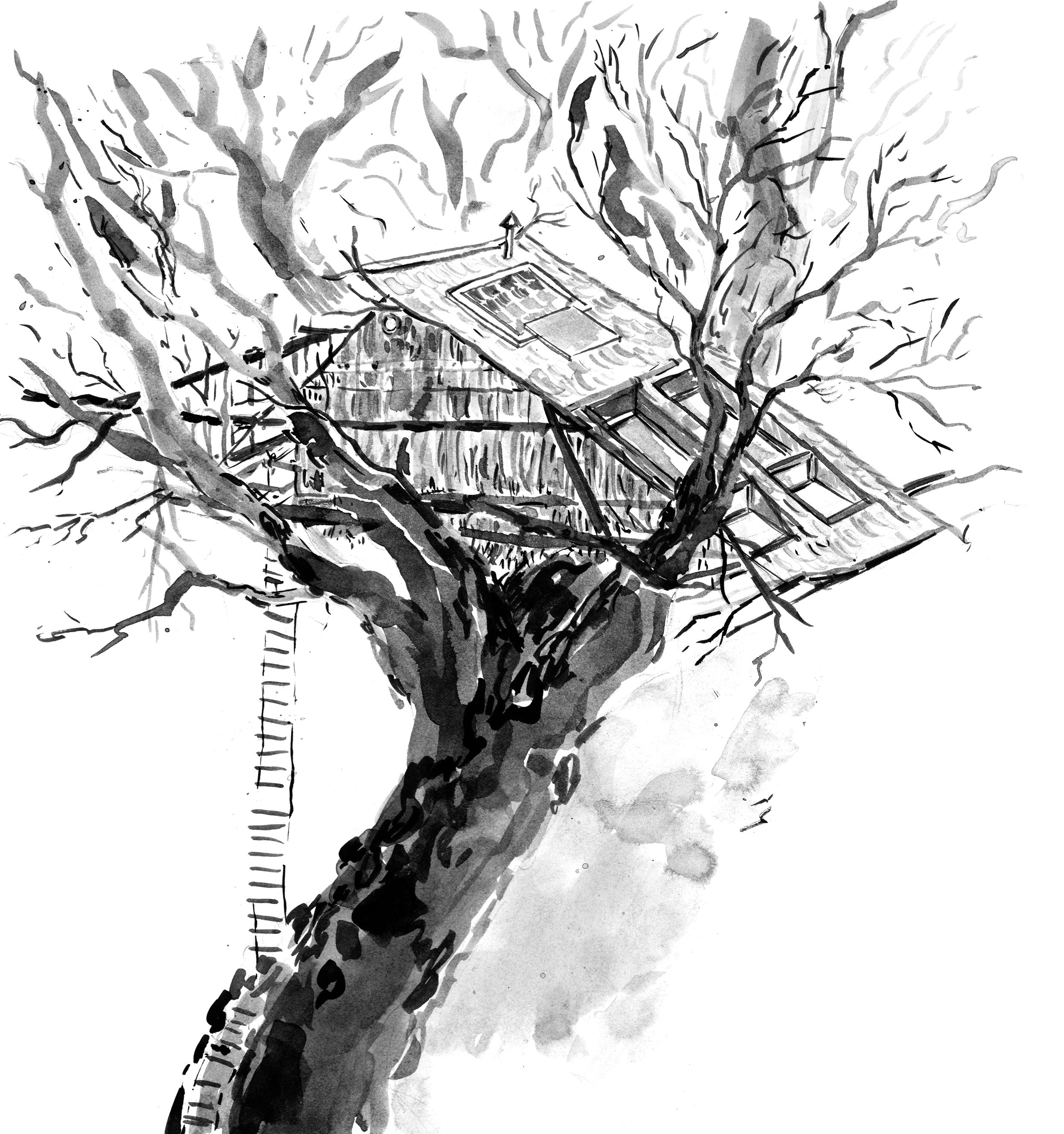 The Treehouse